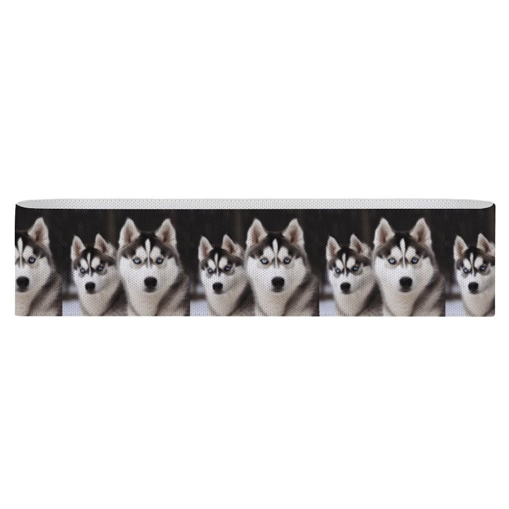 YKUDBN Workout Bands Resistance for Men Women,Husky Dog Print Resistance Bands,suitable for Slim Down Legs And Improve Buttocks