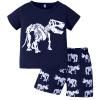 AMIMOJY Toddler Kids Summer Dress Short Sleeve Pajamas Cartoon Dinosaur T Shirts Tops Shorts Clothes Boy Girls Outfits 2Pcs, White view 1