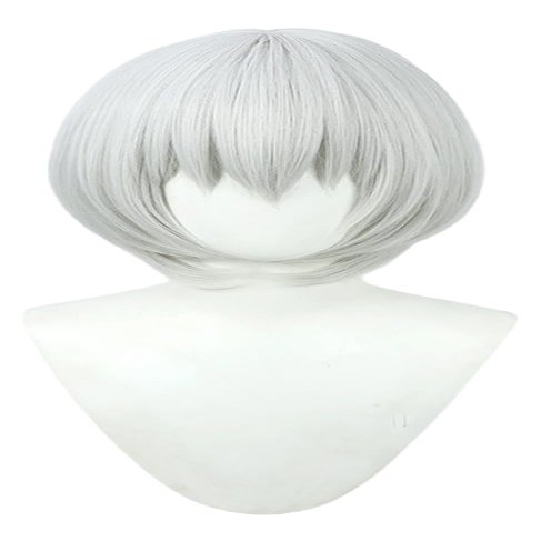 TEDPRBGE Game Cosplay Wig Silver White Hair Wigs Short Straight Wigs with Bang Halloween Party Wig (Silver White)