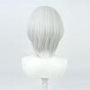 TEDPRBGE Game Cosplay Wig Silver White Hair Wigs Short Straight Wigs with Bang Halloween Party Wig (Silver White) view 3