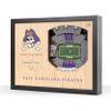 YouTheFan NCAA East Carolina Pirates 25-Layer StadiumViews 3D Wall Art view 1