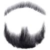 Fake Beard Human Hair Realistic Beard Fake Mustache Invisible Fake Facial Hair Costume Beard Lace Beard for Men Dressing Halloween Cosplay, Black, Wigs Hairpieces for Adults view 1