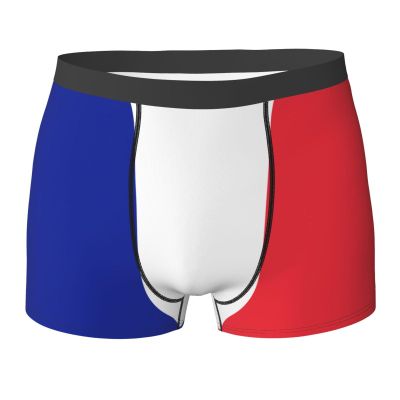 WURTON French flag Print Men's Boxer Briefs Comfortable Bamboo Viscose Underwear Trunks Underwear Black, Large