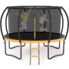 Liyarya 12FT Trampoline for Kids/Adults - Outdoor Trampolines with Enclosure Net Curved Poles and Ladder, Heavy Duty Trampoline for Backyard, Anti-Rust Coating Leg, ASTM Approval view 1