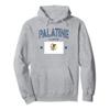 Palatine Illinois IL Flag Athletic Throwback Navy Pullover Hoodie view 1