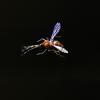 YJIUYUANQ Fly Tying Material Fly Fishing Artificial Mosquitos Fly Fishing Realistic Lure for Trout Hook Size 12#, 2PCS, as show view 2
