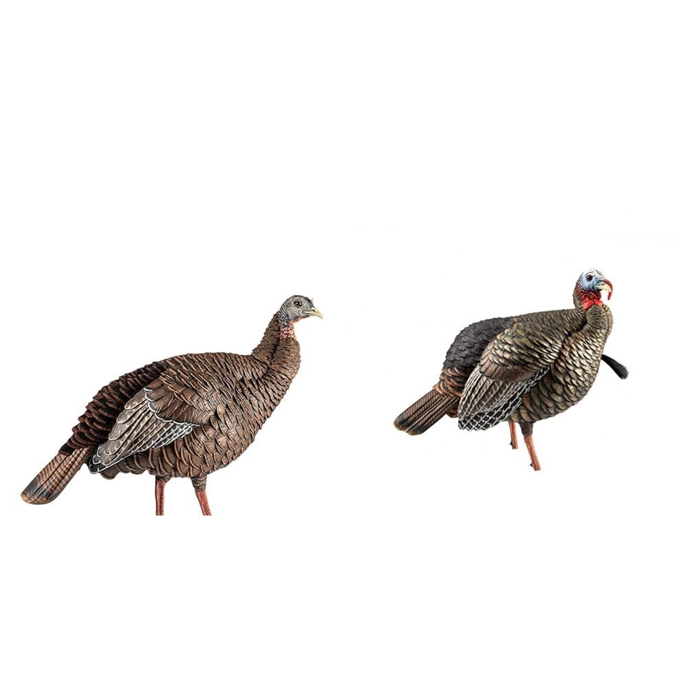 Avian-X HDR Hen & Jake Turkey Decoys Bundle with 4 Removable Heads, 2 Stakes & Bags | Durable Blow-Molded Hunting Decoys with Realistic Detail