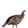Avian-X HDR Hen & Jake Turkey Decoys Bundle with 4 Removable Heads, 2 Stakes & Bags | Durable Blow-Molded Hunting Decoys with Realistic Detail view 2
