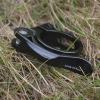 Bike Seat Post Clamp,Bike Seat Clamp 2 Pcs Bike Seat Post Clamp 34.9mm Aluminum Alloy Seat Tube Clip Bicycle Quick Release Seatpost for Mountain Bike (Color : Red) (Color : Black) view 4