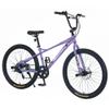 ZUKKA 26 Inch Mountain Bike 7 Speeds Bicycle BMX Handlebar Bicycle Steel Frame Dual Disc Brakes for Youth/Adult Multiple Colors (Purple) view 2