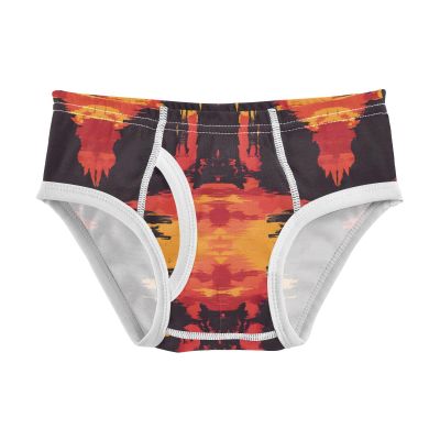 ALAZA Abstract Artwork Boys' Briefs Soft Underwear Available in Sizes 4t Multicolor