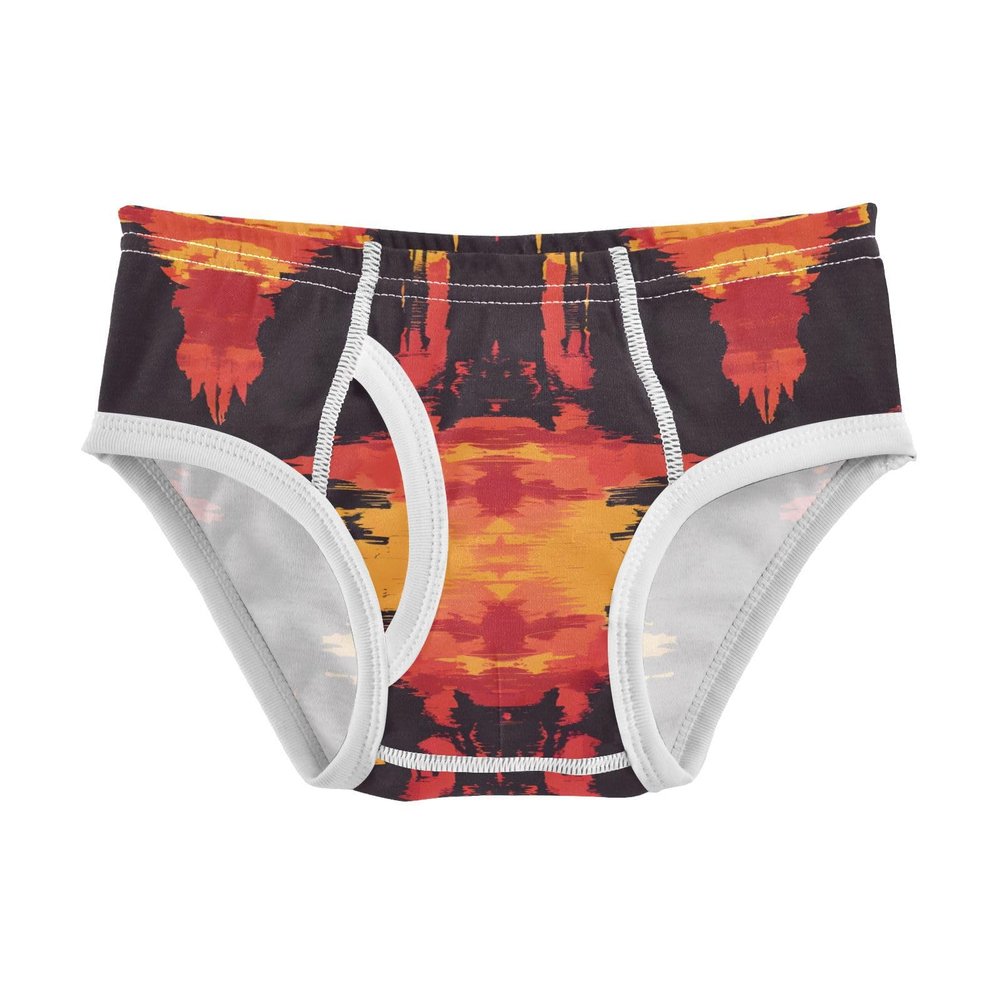ALAZA Abstract Artwork Boys' Briefs Soft Underwear Available in Sizes 4t Multicolor