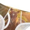 ALAZA Brown Horse Landscape Boys' Briefs Soft Underwear Available in Sizes 3t view 4