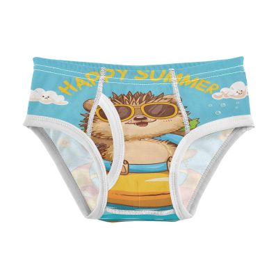 ALAZA Hedgehog Summer Boys' Briefs Soft Underwear Available in Sizes 2t Multicolor