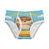 ALAZA Hedgehog Summer Boys' Briefs Soft Underwear Available in Sizes 2t Multicolor view 1