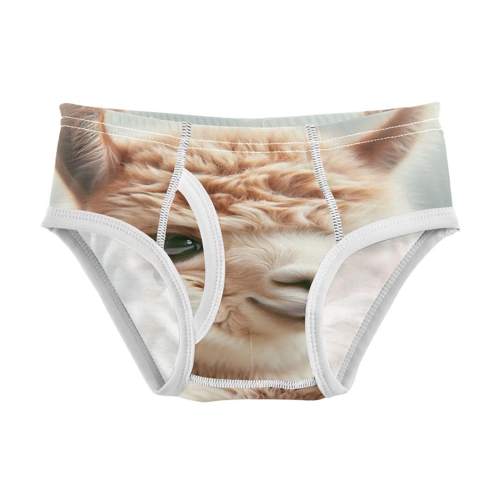ALAZA Alpaca Llama Hipster Boys' Briefs Soft Underwear Available in Sizes 4t Multicolor