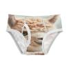 ALAZA Alpaca Llama Hipster Boys' Briefs Soft Underwear Available in Sizes 4t Multicolor view 1