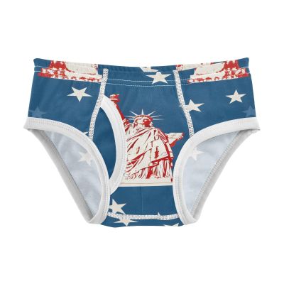 ALAZA Statue Of Liberty Star on Blue Boys' Briefs Soft Underwear Available in Sizes 4t