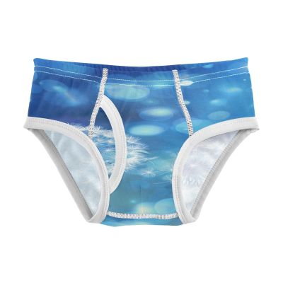 ALAZA Dandelion Blue Boys' Briefs Soft Underwear Available in Sizes 3t