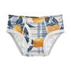 ALAZA Lemon Plaid Leaves Boys' Briefs Soft Underwear Available in Sizes 8y view 1