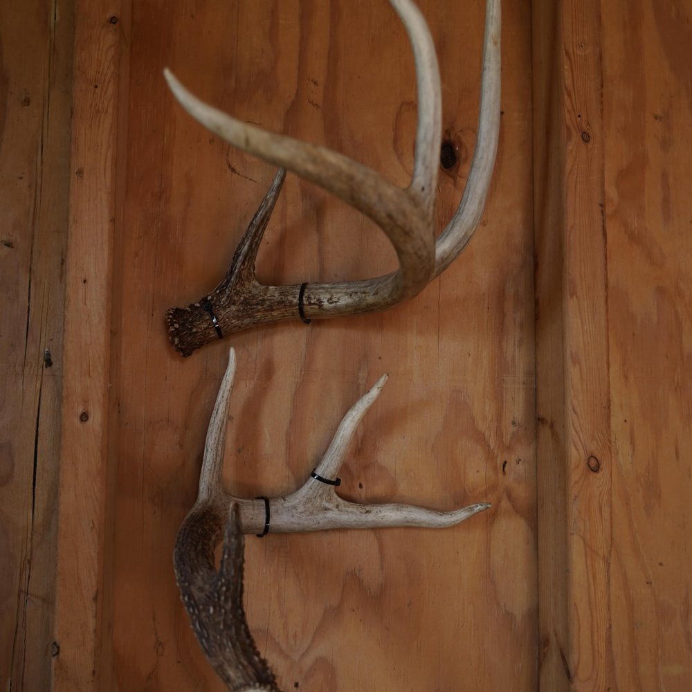 NineFit Basics Shed Antler Display Kit G2 Mount, Black