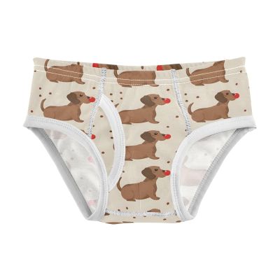 ALAZA Brown Dachshund Dog Polka Dots Boys' Briefs Soft Underwear Available in Sizes 6y