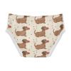 ALAZA Brown Dachshund Dog Polka Dots Boys' Briefs Soft Underwear Available in Sizes 6y view 2