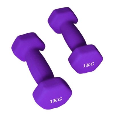 HAMEXLN Dumbbel Dip Plastic Dumbbells For Women's Fitness Home Equipment Solid Pure Iron Small Dumbbells For Men's Yoga Arms Barbell, 4KG, Purple
