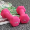 HAMEXLN Dumbbel Dip Plastic Dumbbells For Women's Fitness Home Equipment Solid Pure Iron Small Dumbbells For Men's Yoga Arms Barbell, 4KG, Purple view 2
