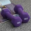 HAMEXLN Dumbbel Dip Plastic Dumbbells For Women's Fitness Home Equipment Solid Pure Iron Small Dumbbells For Men's Yoga Arms Barbell, 4KG, Purple view 3