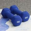 HAMEXLN Dumbbel Dip Plastic Dumbbells For Women's Fitness Home Equipment Solid Pure Iron Small Dumbbells For Men's Yoga Arms Barbell, 4KG, Purple view 4