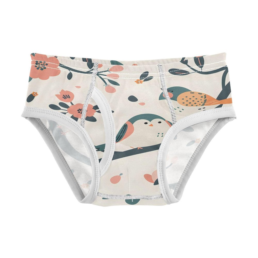ALAZA Bird Flower Branches Retro Boys' Briefs Soft Underwear Available in Sizes 2t Multicolor