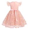 Daisy Dress Baby Girl: Toddler Sequins Ruffle Tutu Dress Flower Bowknot Dots Summer Flutter Sleeves Princess Birthday Party Dresses for Kids Formal Holiday Beach Dance Gown Pink - Daisy 5-6X view 3