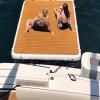 YJFEDCC PVC Water Inflatable Mat, Inflatable Mat Water Inflatable Supplies Inflatable Floating Raft, Water Inflatable Floating Dock with Ladder and Electric Air Pump,1.5 * 2.5m/4.9 * 8.2ft view 1