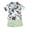 3t Boy Clothes Baby Toddler Outfits Summer Shorts Hawaiian Style Beach Clothes Shirt & Shorts Set Green 3-4 Years old view 1