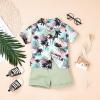 3t Boy Clothes Baby Toddler Outfits Summer Shorts Hawaiian Style Beach Clothes Shirt & Shorts Set Green 3-4 Years old view 2