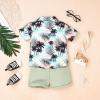 3t Boy Clothes Baby Toddler Outfits Summer Shorts Hawaiian Style Beach Clothes Shirt & Shorts Set Green 3-4 Years old view 3