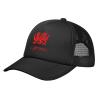 Byoblu Wales Welsh Dragon Yard Flag Trucker Hat - Mesh Baseball Snapback Cap for Men Or Women Outdoors Black view 2