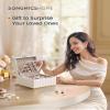 SONGMICS HOME 2-Tier Jewelry Box with Mirror, Jewelry Organizer, Removable Tray, PU Surface with Stitching, Floating Effect, 8.5 x 9.4 x 5.3 Inches, Cloud White, ANAH Collection UJBC182W01 view 2