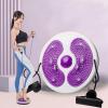 Ab Twister Board,Exercise Waist Twisting Disc with 6 Magnets Fitness Twister with Handles Trims Waist Slimming Balance Rotating Disc Multi-functional Twist Board Exercise with Massage Foot Sole view 3