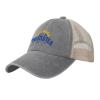 VITACEUTICS Twisteds Hard Iced Teas Baseball Cap Adjustable Classic Cowboy Mesh Dad Hat Novelty Hip-Hop Hat Fashion Trucker Hats for Men Women Gray view 2