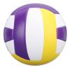 NineFit Basics Volleyball Size 5 Purple Yellow White PVC Indoor Outdoor Sports Training Volleyball for Beginner Teenager, Generic8tnmoe1s2u view 3
