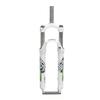DHNCBGFZ 26/27.5/29 Bikes Front Fork Bikes Fork Aluminum Alloy Shock Front Suspension Fork Suspension Fork Steerer 100mm HL QR 9mm(White Green,26") view 1