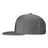 Blueberry Seamless Pattern Snapback Hats for Men Baseball Cap Trucker Hat Flat Brim Hats Gray view 3