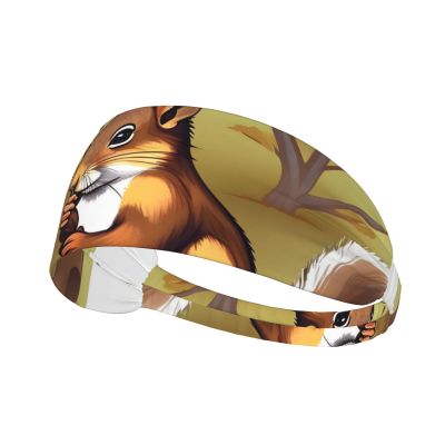 YYHWHJDE Elastic Unisex Sports Headband Moisture Wicking Athletic for Running, Working Out,Outdoor Sports Nut-Eating Squirrel Picture, Black
