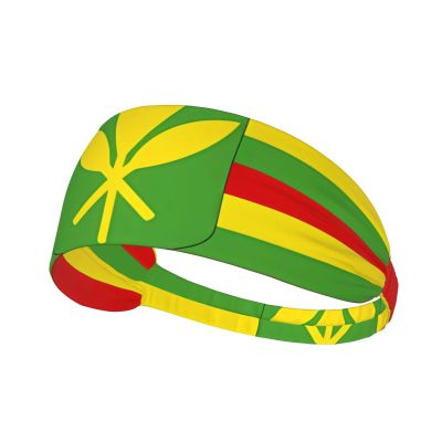 YYHWHJDE Elastic Unisex Sports Headband Moisture Wicking Athletic for Running, Working Out,Outdoor Sports Native Hawaiian Flag Picture, Black