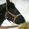 Horse Saddle And Bridle Charm Clip, Bless this Horse and Rider Keep Safe Bridle Saddle Charm Gifts for Horse Rider, Saddle Strings Riding Enthusiast Charms Hanging Ornament (Blue Stone & Feather) view 2