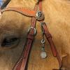 Horse Saddle and Bridle Charm Clip, Bless This Horse and Rider Keep Safe Bridle Saddle Charm Gifts for Horse Rider, Saddle Strings Riding Enthusiast Charms Hanging Ornament (Feather & Horseshoe) view 4