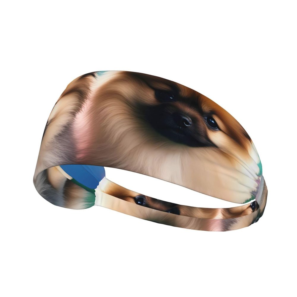 YYHWHJDE Elastic Unisex Sports Headband Moisture Wicking Athletic for Running, Working Out,Outdoor Sports Pomeranians Puppies and Point Prints, Black