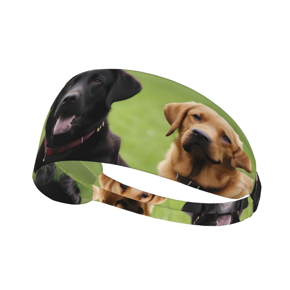 Elastic Unisex Sports Headband Moisture Wicking Athletic for Running, Working Out,Outdoor Sports Labrador Retriever Dogs Prints